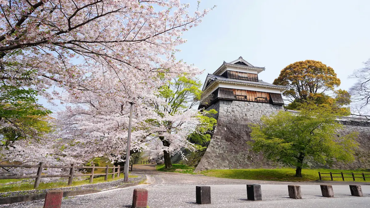 熊本国税局の画像